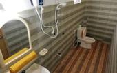 Туры в отель Sigiri Choona Lodge