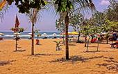 Туры в отель Kuta Sari House