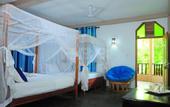 Туры в отель Harmony Beach Bungalows