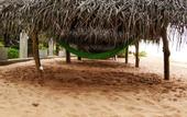 Туры в отель Harmony Beach Bungalows