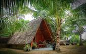 Туры в отель Harmony Beach Bungalows
