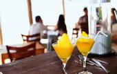 Туры в отель Harmony Beach Bungalows
