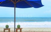 Туры в отель Harmony Beach Bungalows