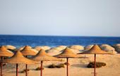 Туры в отель Gorgonia Beach Resort