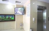 Туры в отель Hoang Dai Hotel Danang