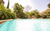 Туры в отель Waridi Paradise Hotel & Suites