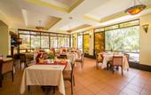 Туры в отель Waridi Paradise Hotel & Suites
