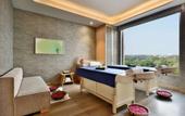 Туры в отель Radisson Noida
