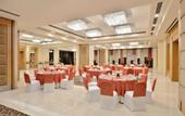 Туры в отель Radisson Noida