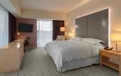 Туры в отель Sheraton San Jose Hotel, Costa Rica