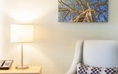 Туры в отель Sheraton San Jose Hotel, Costa Rica