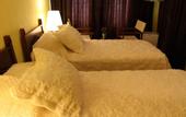 Туры в отель Kybele Hotel