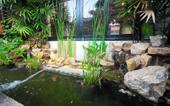 Туры в отель Samui Sun Villa