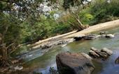Туры в отель Athgira River Camp