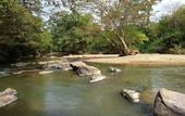 Туры в отель Athgira River Camp