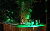Туры в отель Athgira River Camp