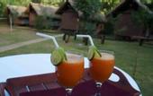 Туры в отель Athgira River Camp