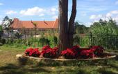 Туры в отель Dalat Train Villa