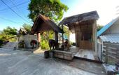 Туры в отель P.D. Beach Resort