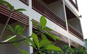 Туры в отель Kata Noi Resort