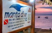 Туры в отель Manta Dive Resort Gili Air