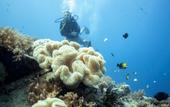 Туры в отель Manta Dive Resort Gili Air