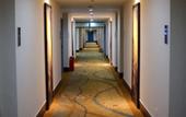Туры в отель Golden Phoenix Hotel