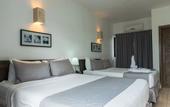 Туры в отель Hotel Silvestre