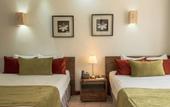 Туры в отель Hotel Silvestre