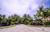 Туры в отель Отель Olalani Resort and Condotel