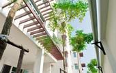 Туры в отель The Meet Green Apartment