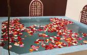 Туры в отель Riad Al Ralia