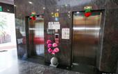 Туры в отель New Cape Inn
