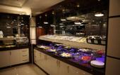 Туры в отель Gumus Palace Hotel