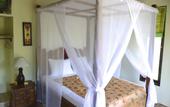 Туры в отель Amed Harmony Cafe and Bungalows