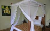 Туры в отель Amed Harmony Cafe and Bungalows
