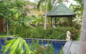 Туры в отель Amed Harmony Cafe and Bungalows