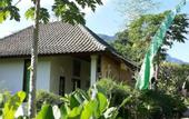 Туры в отель Amed Harmony Cafe and Bungalows
