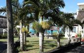 Туры в отель Chillpill Bed & Breakfast