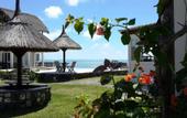 Туры в отель Chillpill Bed & Breakfast