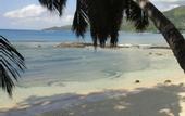 Туры в отель Beach Cottages