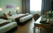 Туры в отель Tang Dynasty Park Hotel