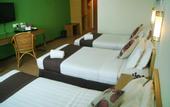 Туры в отель Tang Dynasty Park Hotel