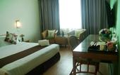 Туры в отель Tang Dynasty Park Hotel