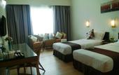 Туры в отель Tang Dynasty Park Hotel