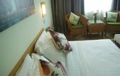 Туры в отель Tang Dynasty Park Hotel