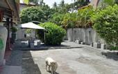 Туры в отель Palms Villa