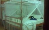 Туры в отель Mirissa Beach Inn
