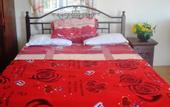 Туры в отель Bob Apartments