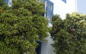 Туры в отель La Chambre Verte